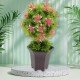 wild-artificial-flower-plants-with-cute-pot-flower-plant-for-home-office-decor-tabletop-and-desk-decoration-artificial-flower-for-balcony-indoor-decor-plants-for-living-room-1-pc