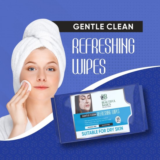 0983-refreshing-wet-wipes-for-face-facial-cleansing-refreshing-skin-hydration-soothing-for-skin-ph-balance-alcohol-free-nourishing-with-fruit-extract-25-wipes-icedry-skin