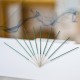 12878_mosquito_incense_sticks_12pkt-1 12878_mosquito_incense_sticks_12pkt-1