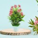 wild-artificial-flower-plant-cute-pot wild-artificial-flower-plant-cute-pot