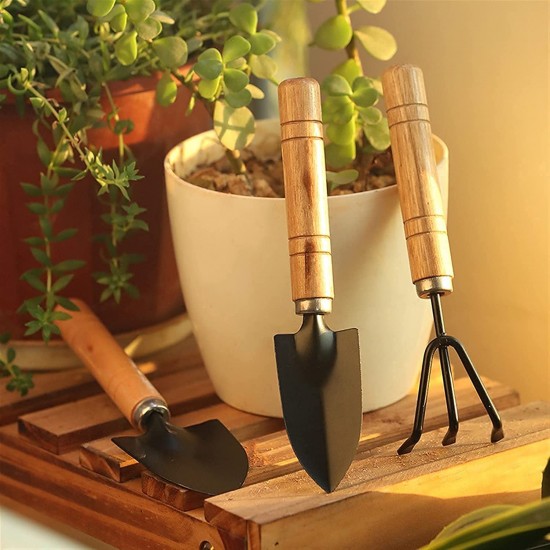 0541-small-sized-hand-cultivator-small-trowel-garden-fork-set-of-3