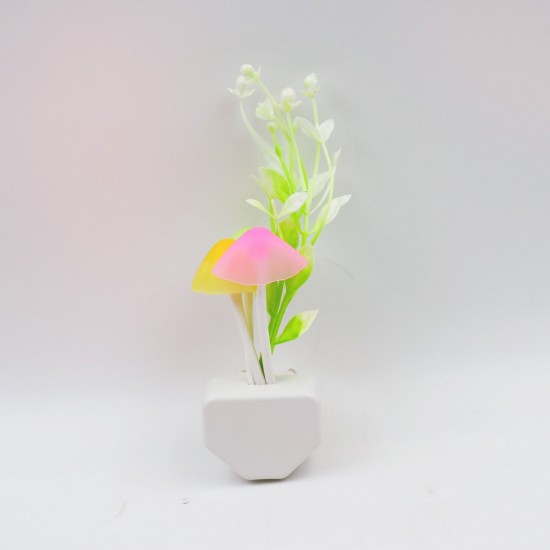 0239a_king_flower_light