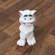 4524_talking_tom_cat_toy