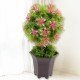 wild-artificial-flower-plants-with-cute-pot-flower-plant-for-home-office-decor-tabletop-and-desk-decoration-artificial-flower-for-balcony-indoor-decor-plants-for-living-room-1-pc