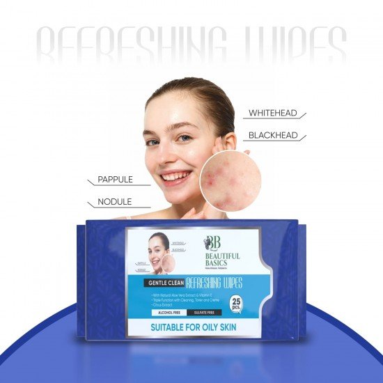 0983-refreshing-wet-wipes-for-face-facial-cleansing-refreshing-skin-hydration-soothing-for-skin-ph-balance-alcohol-free-nourishing-with-fruit-extract-25-wipes-iceoily-skin