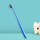 12579_soft_toothbrush_1pc 12579_soft_toothbrush_1pc