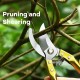 garden-shears-pruners-gardening-scissors