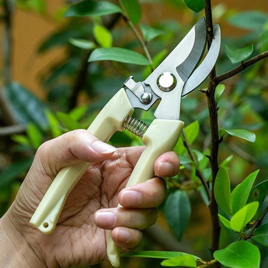 0471-stainless-steel-pruning-shears-with-sharp-blades-and-comfortable-handle-durable-hand-pruner-for-comfortable-and-easy-cutting-heavy-duty-gardening-cutter-tool-plant-cutter-for-home-garden-wood-bran-1-pc 0471-stainless-steel-pruning-shears-with-sharp-blades-and-comfortable-handle-durable-hand-pruner-for-comfortable-and-easy-cutting-heavy-duty-gardening-cutter-tool-plant-cutter-for-home-garden-wood-bran-1-pc