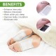 644-kinoki-cleansing-detox-foot-pads-ginger-salt-foot-patch-10pcs-free-size-white