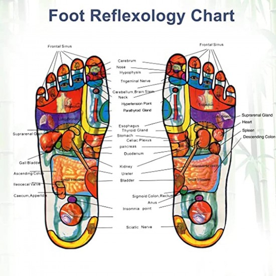 644-kinoki-cleansing-detox-foot-pads-ginger-salt-foot-patch-10pcs-free-size-white