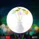 217-led-dream-night-light-auto-on-off-sensor-mushroom-lamp-multicolor
