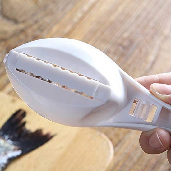 2371-fish-scale-scraper-peeler-fish-tools-kitchen 2371-fish-scale-scraper-peeler-fish-tools-kitchen