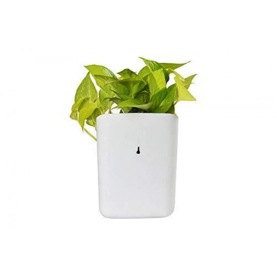 3858-plastic-vertical-hanging-planter-pot-multicolour
