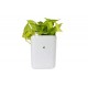 3858-plastic-vertical-hanging-planter-pot-multicolour