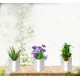 3858-plastic-vertical-hanging-planter-pot-multicolour