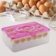 2263-double-layer-24-grid-egg-storage-box-for-egg-storage-container 2263-double-layer-24-grid-egg-storage-box-for-egg-storage-container