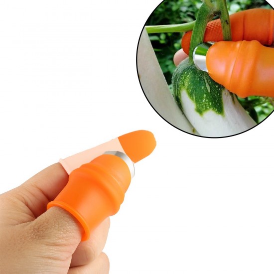 2662-vegetable-thumb-cutter-and-tool-with-effective-sharp-cutting-blade-system