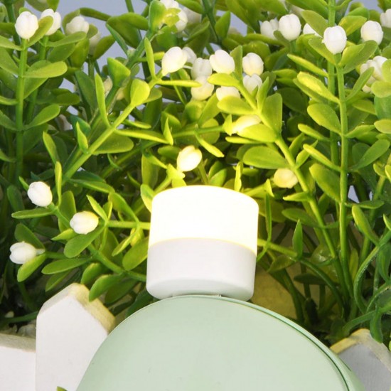 6096a_small_usb_y_bulb