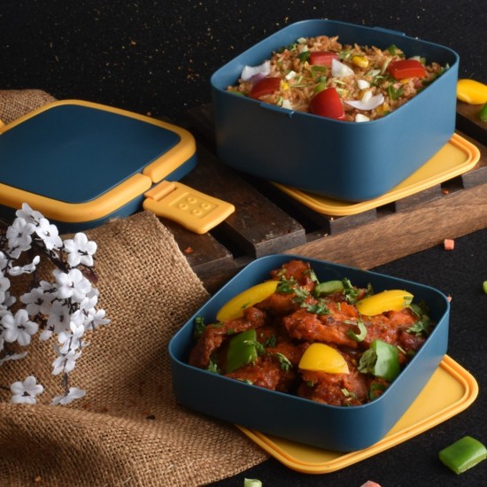 2868-blue-double-layer-portable-lunch-box-stackable-with-carrying-handle-and-spoon-lunch-box-bento-lunch-box