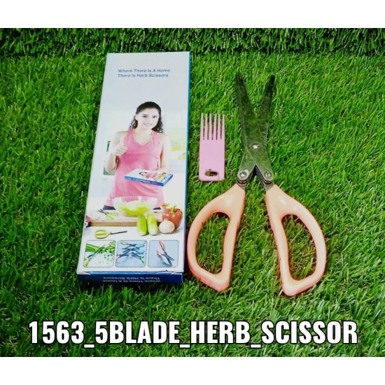 1563-multifunction-vegetable-stainless-steel-herbs-scissor-with-5-blades 1563-multifunction-vegetable-stainless-steel-herbs-scissor-with-5-blades